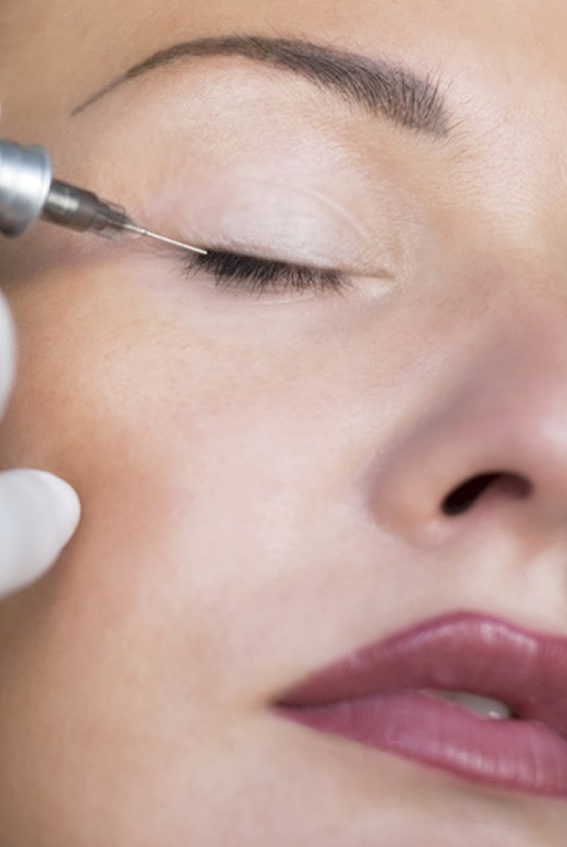 lidstrich_hochformat lidstrich